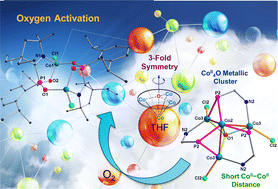 Graphical abstract: Isolation and oxygen activation of electron-rich CoII4O metallic clusters having a 3-fold symmetry
