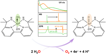 Graphical abstract: Identification of the Cr(v) [[double bond, length as m-dash]] O intermediate in electrocatalytic water oxidation by a chromium(iii)–aqua complex
