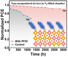 Graphical abstract: Halogen-bond-mediated inhibition of ion migration for stable Sn–Pb perovskite solar cells