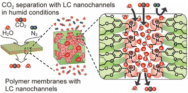 Graphical abstract: Liquid-crystalline nanostructured membranes for CO2 separation
