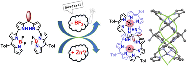 Graphical abstract: Synthesis, structure, and properties of helical bis-Zn(ii) complexes of hexapyrrolic ligands