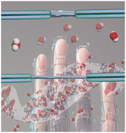 Graphical abstract: Humidity-responsive self-assembly of short peptides with super-flexibility