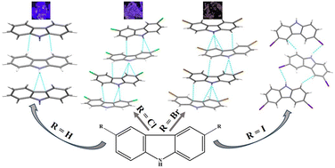 Graphical abstract: Halogen atom substitution effect on the carbazole fluorescence properties and supramolecular interactions in the solid-state