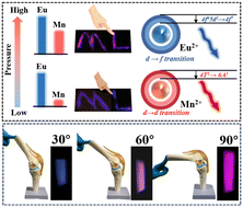 Graphical abstract: Color-resolved mechanoluminescence of Eu and Mn co-doped SrMg2(PO4)2