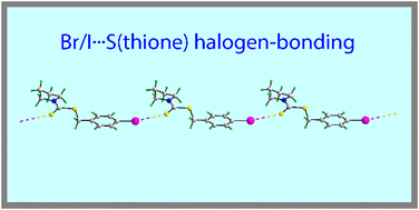 Graphical abstract: Variable non-covalent interactions in the crystals of a series of 4-Y-benzyl pyrrolidine-1-carbodithioates: Y = Cl, Br, I, Me and NO2