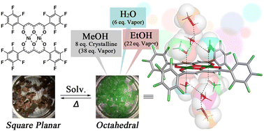 Graphical abstract: Selective recognition and reversible encapsulation of tetrameric alcohol clusters via hydrogen bonds using a perfluorinated dinuclear nickel(ii) complex