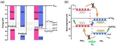 Graphical abstract: First-principles prediction of a direct Z-scheme WSe2/HfS2 van der Waals heterostructure for overall photocatalytic water decomposition