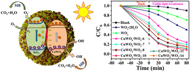 Graphical abstract: S-scheme heterojunction based on CuWO4/WO3 microspheres with an improved photocatalytic property under visible light irradiation