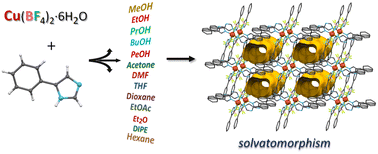Graphical abstract: Solvatomorphism with polar protic/aprotic and non-polar solvents in a series of complexes derived from the 5-phenylimidazole/tetrafluoroborate/copper(ii) reaction system