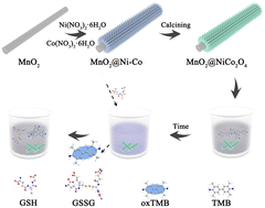 Graphical abstract: Controllable synthesis of NiCo2O4 nanoparticles supported on MnO2 nanowires with excellent oxidase-mimicking performance