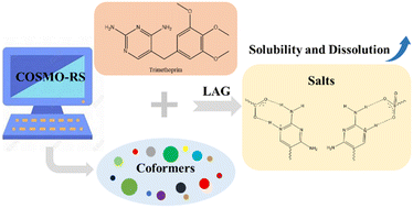 Graphical abstract: Theoretical and experimental study of pharmaceutical salts: a case of trimethoprim