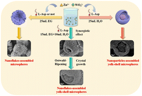 Graphical abstract: Novel ZnWO4 yolk–shell microspheres: interface regulation and high removal efficiency for Pb2+