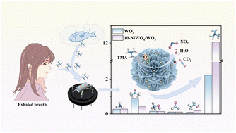 Graphical abstract: Design of 3D flower-like NiWO4/WO3 heterostructures with excellent trimethylamine sensing performance