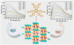 Graphical abstract: A self-assembled metal–organic framework for enhanced UO22+ fluorescence sensing: integration of an octa-nuclear zinc cluster with hexakis(4-carboxyphenoxy)cyclotriphosphazene