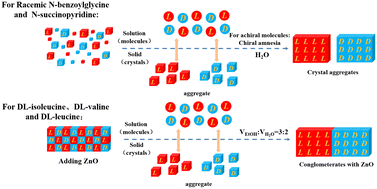 Graphical abstract: Tuning organic crystal chirality by enantiomer-specific oriented attachment