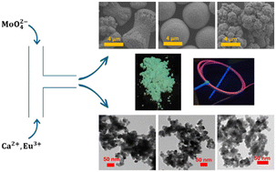 Graphical abstract: Eu(iii)-doped calcium molybdate nano- and microstructures: microfluidic synthesis and morphology tuning via solvent dielectric constant and viscosity control