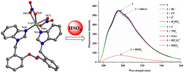 Graphical abstract: Six cobalt(ii), zinc(ii), nickel(ii) and copper(ii) complexes based on bis-benzimidazolyl bidentate ligands with phenolyl ether linkers: synthesis, structural studies and recognition of HSO4−