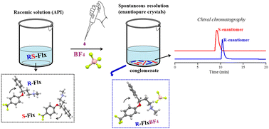 Graphical abstract: Spontaneous resolution of RS-fluoxetine through tetrafluoroborate conglomerate salt and racemic kryptoracemate formation via the sulfate ion