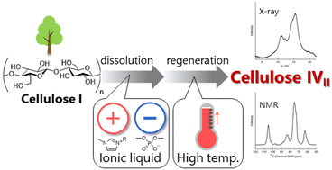 Graphical abstract: Facile preparation of cellulose IVII using ionic liquids