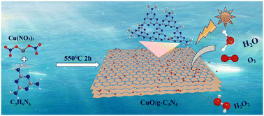 Graphical abstract: Synergy of CuO and g-C3N4 for boosting hydrogen peroxide photosynthesis