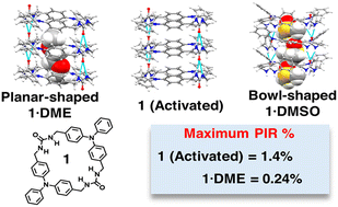 Graphical abstract: Examination of photoinduced radicals in two crystal forms of triphenylamine bis-urea macrocycles