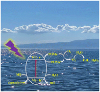 Graphical abstract: A series of rare-earth phosphine-oxygen complexes containing [PW12O40]3− with highly efficient photocatalytic degradation of MB