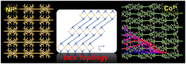 Graphical abstract: Construction, structures, and magnetic studies of two cobalt(ii) and nickel(ii) coordination polymers displaying bex topology
