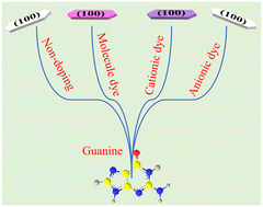 Graphical abstract: Investigation on the doping of dyes in single crystalline anhydrous guanine microplatelets and their optical properties