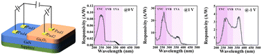 Graphical abstract: High-responsivity β-Ga2O3/GaN heterojunction UV photodetectors with tunable multi-band detection capability