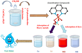 Graphical abstract: Perchlorate-supported Cu(ii)-based 1D polymeric chains containing 1,10-phenanthroline: synthesis, characterization and adsorption of organic dyes and heavy metal ions