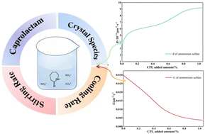 Graphical abstract: A study of the influence regularity of caprolactam on the crystallisation of ammonium sulphate in aqueous solution