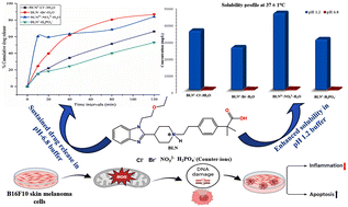 Graphical abstract: Structural landscape of new salts of the antihistamine drug bilastine: implications in physicochemical properties and anticancer activity against skin cancer