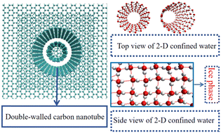 Graphical abstract: Terahertz electric field induced melting and transport of monolayer water confined in double-walled carbon nanotubes