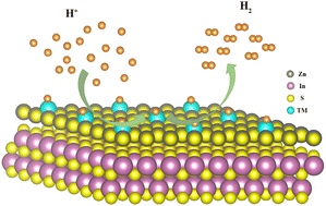 Graphical abstract: Transition metal single-atoms supported on hexagonal ZnIn2S4 monolayers for the hydrogen evolution reaction