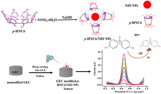 Graphical abstract: A NiO-nanostructure-based electrochemical sensor functionalized with supramolecular structures for the ultra-sensitive detection of the endocrine disruptor bisphenol S in an aquatic environment