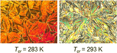 Graphical abstract: Crystallization kinetics of (S)-4′-(1-methylheptyloxycarbonyl)biphenyl-4-yl 4-[4-(2,2,3,3,4,4,4-heptafluorobutoxy)but-1-oxy]-2-fluorobenzoate