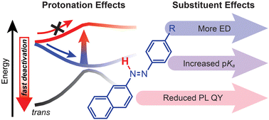 Graphical abstract: Controlling excited-state dynamics via protonation of naphthalene-based azo dyes