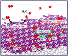 Graphical abstract: First-principles studies of enhanced oxygen reduction reactions on graphene- and nitrogen-doped graphene-coated platinum surfaces