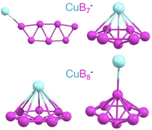 Graphical abstract: Searching for stable copper borozene complexes in CuB7− and CuB8−