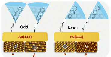 Graphical abstract: Odd–even effects in aryl-substituted alkanethiolate SAMs: nonsymmetrical attachment of aryl unit and its impact on the SAM structure