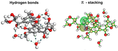 Graphical abstract: A density functional theory study on interactions in water-bridged dimeric complexes of lignin