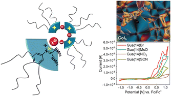 Graphical abstract: Counterion effects on the mesomorphic and electrochemical properties of guanidinium salts