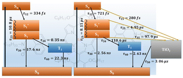 Graphical abstract: Hot carrier dynamics in metalated porphyrin–naphthalimide thin films