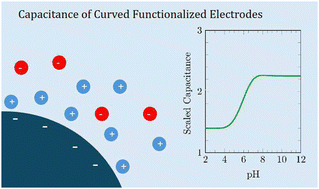 Graphical abstract: Differential capacitance of curved electrodes: role of hydration interactions and charge regulation