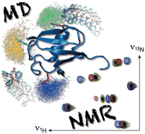 Graphical abstract: One touch is all it takes: the supramolecular interaction between ubiquitin and lanthanide complexes revisited by paramagnetic NMR and molecular dynamics
