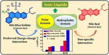 Graphical abstract: Probing the heterogeneity of molecular level organization of ionic liquids: a comparative study using neutral Nile red and cationic Nile blue sulfate as fluorescent probes for butyrolactam-based protic ionic liquids