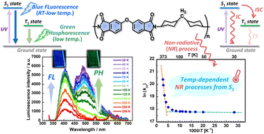 Graphical abstract: Photophysical analysis of dual fluorescence and phosphorescence emissions observed for semi-aliphatic polyimides at lower temperatures