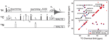 Graphical abstract: Structural characterization of E22G Aβ1–42 fibrils via 1H detected MAS NMR