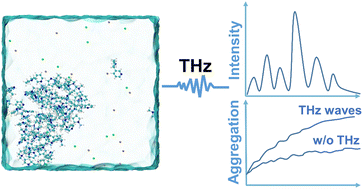 Graphical abstract: Effect of terahertz waves on the aggregation behavior of neurotransmitters