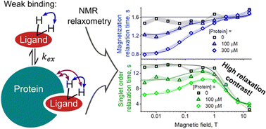 Graphical abstract: Exploring weak ligand–protein interactions by relaxometry of long-lived spin order